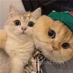 Avatar de Yadira Duarte